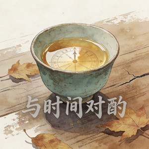 与时间对酌