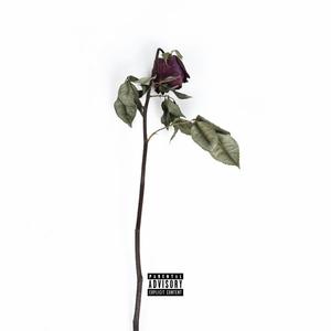 Rose's Interlude (Explicit)