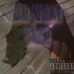 said what i said (Explicit)