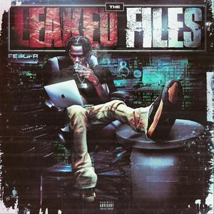 THE LEAKED FILES (Explicit)