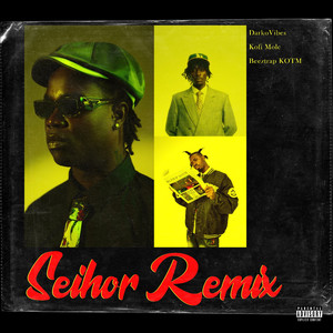 Seihor (Remix) (Remix)