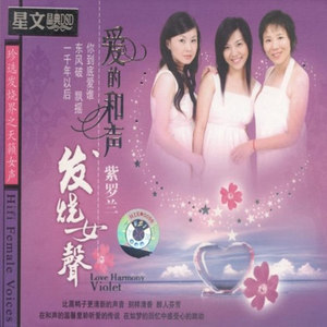 挥着翅膀的女孩 (英语)封面