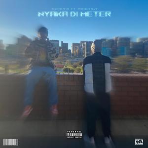 Di Meter (feat. Prodiigy) [Explicit]