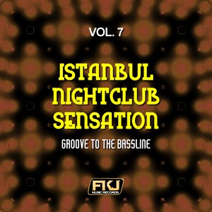 Istanbul Nightclub Sensation, Vol. 7 (Groove to the Bassline)