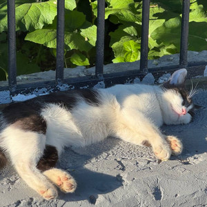 Ниже)) (Explicit)