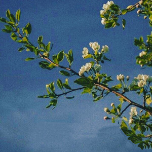 Take me in your arms