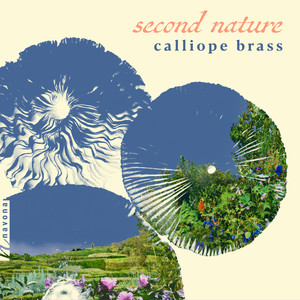 A Garden Story: Part 3: The Pollinators