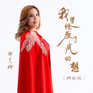 我曾经发了疯的想 (娜姐版)