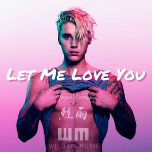 Let Me Love You&Crunk (Wild-Dad Mash Up)