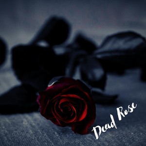 Dead Rose(feat. DaJerae')