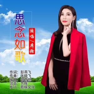 思念如歌