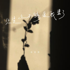 只是你不够爱我罢了-聂思维