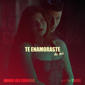 Te Enamoraste de mi