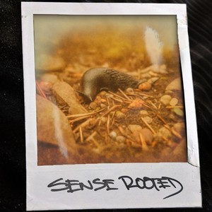 Sense Rooted (feat. Rap Man Gavin) (Explicit)