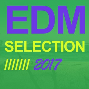 EDM Selection 2017