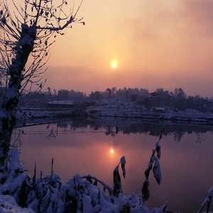 LinM - Happy New Year 2016