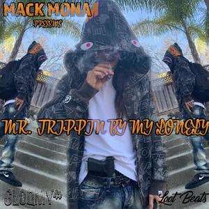 Mr.Trippinbymylonely (Explicit)