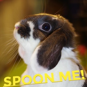 ぎゅっとして (feat. 和蘭芹)