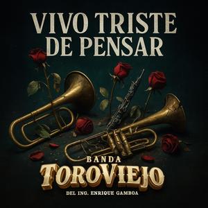 Vivo Triste De Pensar