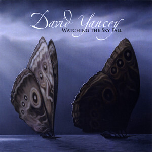 Watching the Sky Fall