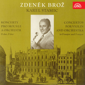 Concerto for Violin and Orchestra No. 1 in D Major - I. Allegro maestoso