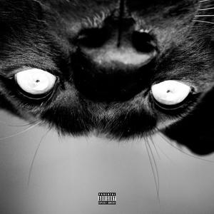We Are Stars (feat. A'Viana Naree, Prophet, Katarra Parson & Asa the Artist) (Explicit)