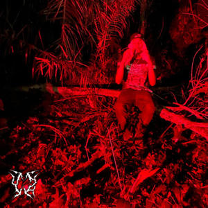 heavy (feat. justintrvp) (Explicit)