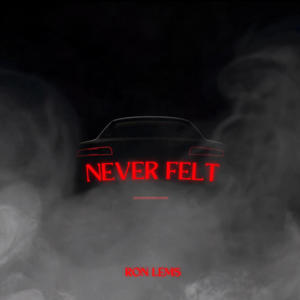 Never Felt (Explicit)