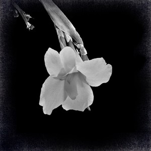 A Wonderful Day in a One Way World