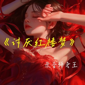 讨厌红楼梦-录音师老王