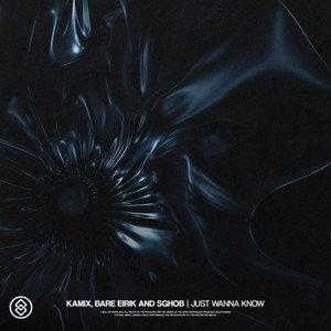 Just Wanna Know (Extended Mix)