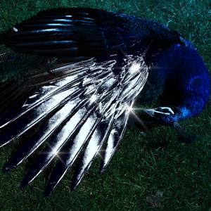 THESSALONIQUE (feat. Book & Slow21) (Explicit)