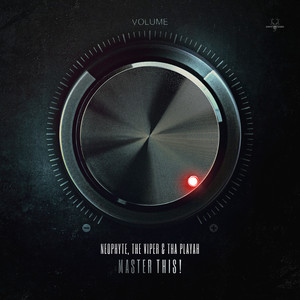 Master this! (Original Mix)