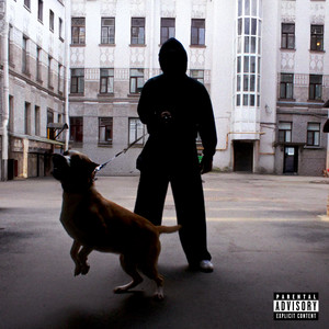 16 (Explicit)