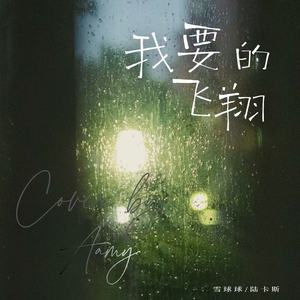 我要的飞翔封面