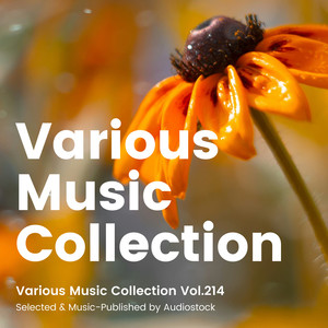 Various Music Collection Vol.214 -Selected & Music-Published by Audiostock-