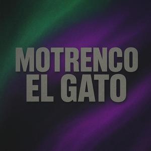 Motrenco el gato