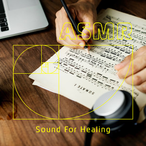 ASMR减压日常．颅内高潮 (ASMR Sound For Healing)