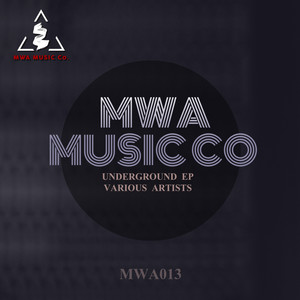 Zulu Tribe (Original Mix)