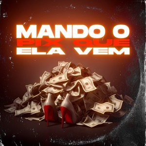 Mando O Pix Que Ela Vem (Explicit)