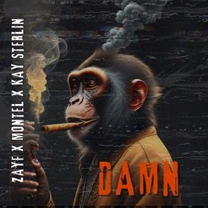 Damn (feat. Kay Sterlin) (Explicit)