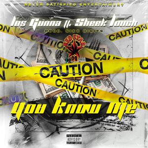 You Know Me(feat. Sheek Louch) (Explicit)