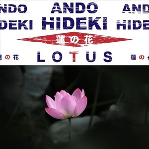 蓮の花 LOTUS