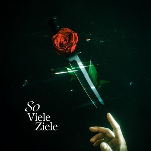 So viele Ziele