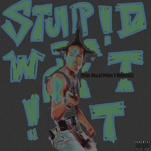 Stupid Wit It (feat. Dallas Pierre)