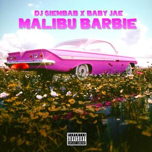 Malibu Barbie (Explicit)