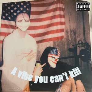 A Vibe You Can't Kill (Explicit)