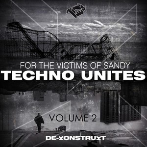 Techno Unites 'Victims of Sandy' Volume II