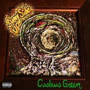 Cashius Green - Never Go Broke (Explicit)