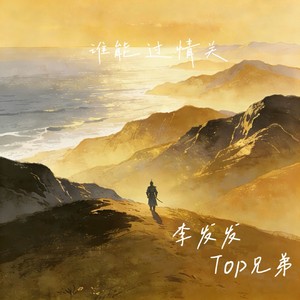 谁能过情关 (对唱版) - 李发发、Top兄弟封面